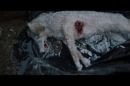 Кадр из фильма Мысленный волк