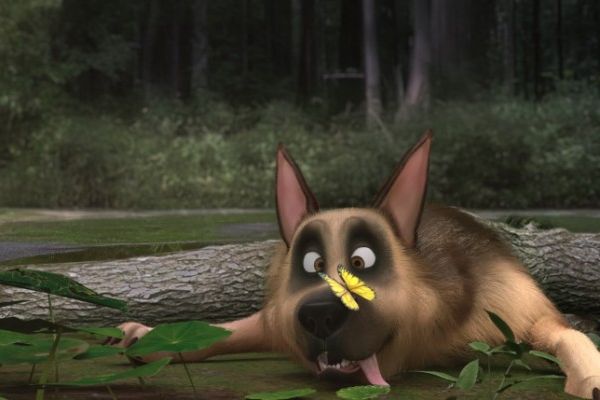 Кадр из фильма Серафима