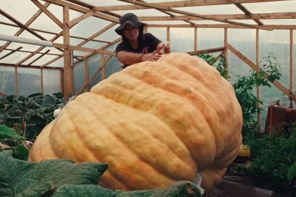 Кадр из фильма Выход из воды, Король Тыкв