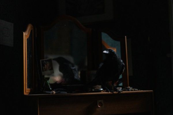 Кадр из фильма Сущность 