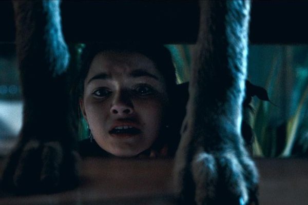 Кадр из фильма Ночь койота 