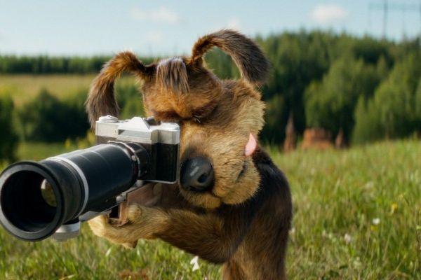 Кадр из фильма Простоквашино