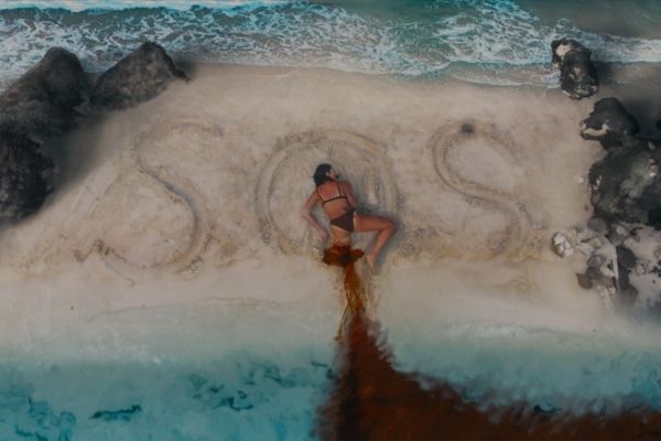 Кадр из фильма Кит-убийца 