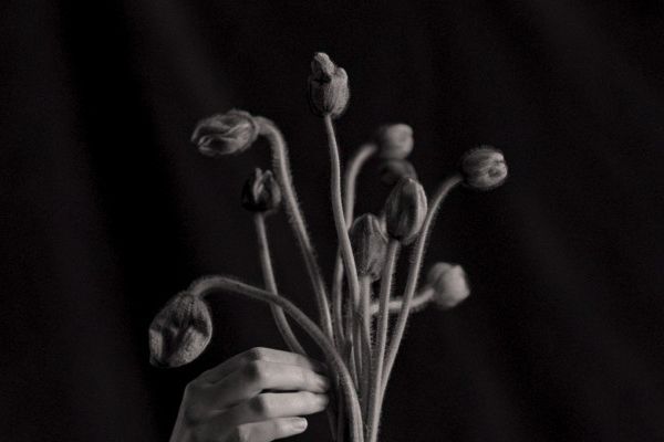 Кадр из фильма Молчаливый друг 