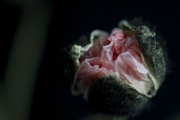 Кадр из фильма Молчаливый друг 