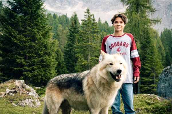 Кадр из фильма Дети леса 2 