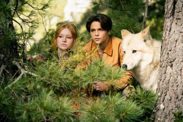 Кадр из фильма Дети леса 2 