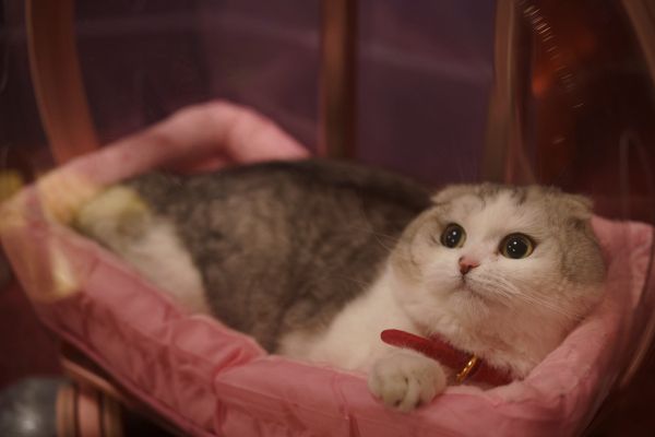 Кадр из фильма Запретный плод