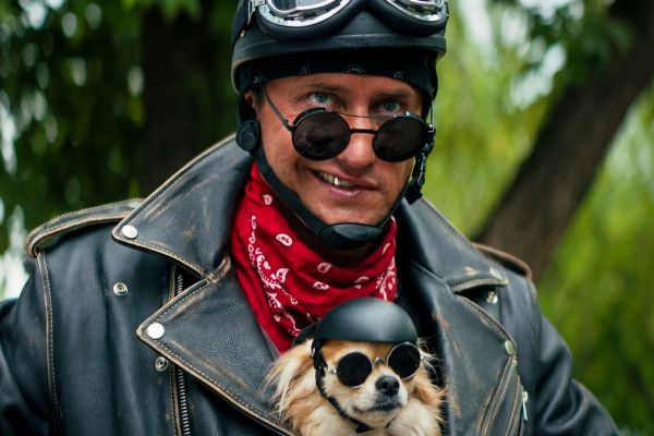 Кадр из фильма Приключения жёлтого чемоданчика