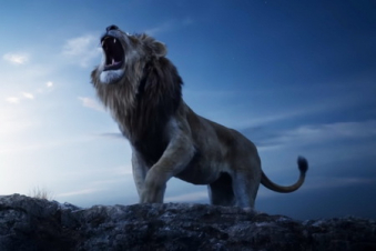 Кадр из фильма Король Лев