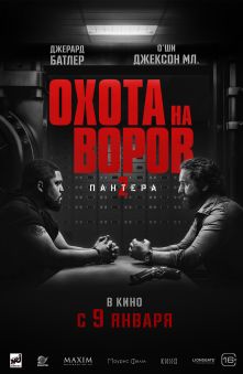 Охота на воров 2: Пантера