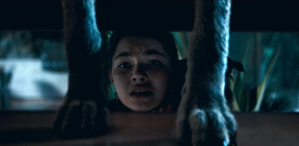 Ночь койота 