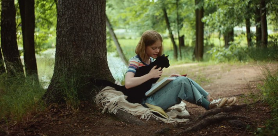 Мой друг, кот и Пушкин