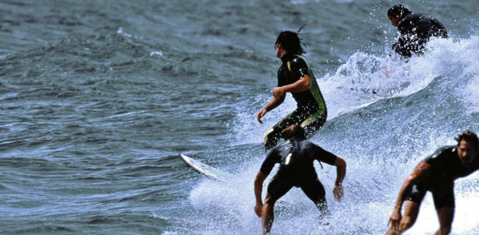 На гребне волны 