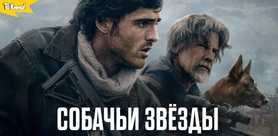 Собачьи звёзды