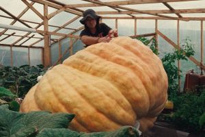 Кадр из фильма Выход из воды, Король Тыкв