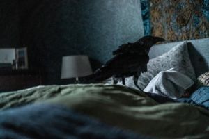 Кадр из фильма Сущность 