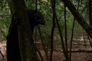 Кадр из фильма Сущность 