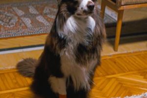 Кадр из фильма Два мира, одно желание 