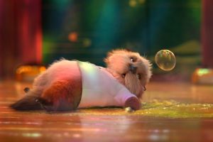 Кадр из фильма Океан чудес 