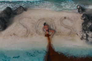 Кадр из фильма Кит-убийца 