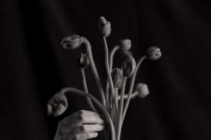 Кадр из фильма Молчаливый друг 