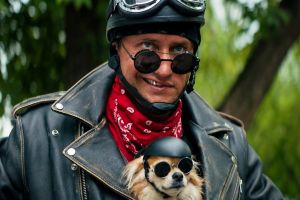 Кадр из фильма Приключения жёлтого чемоданчика